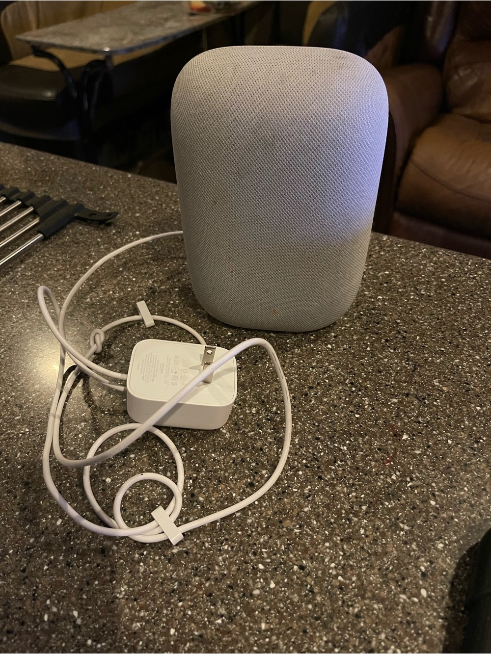 Google nest audio speake